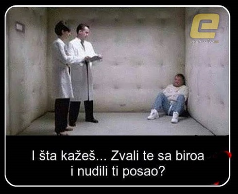 luđačka posla