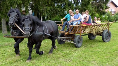 voznja_zapreznim_kolima