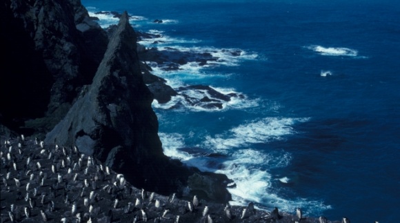 dio Antarktičkog oceana postaje najveće morsko zaštićeno područje