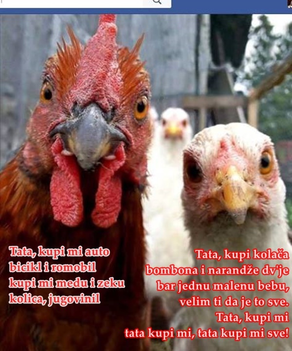tata kupi mi sve