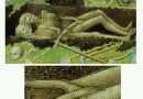 kosturi