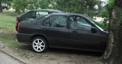 zeleni parking