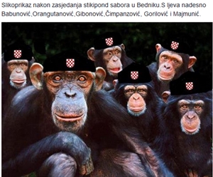 slikoprikaz