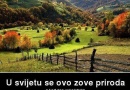 vukojebina