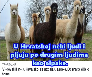 alpake