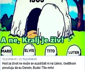 kralj