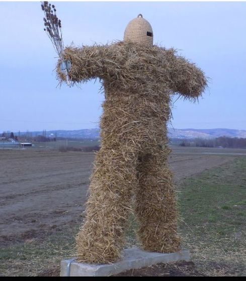 Selnički Pikač