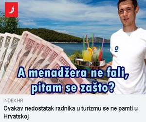 nedostatak