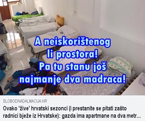 sezonci