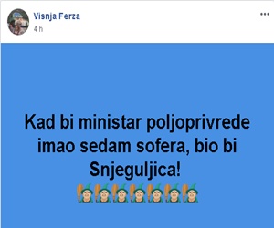 šoferi