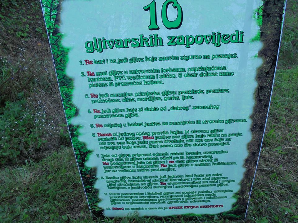 Planinari HPD"MIV" iz Varaždina sudjelovali na DANU VRGANJA u PAKI......i posjetili utvrdu PAKA iz 13. stoljeća...
