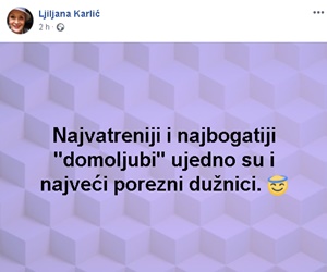 domoljubi
