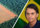 Brazilski predsjednik želi iskrčiti prašume Amazone i dati korporacijama da grade nebodere