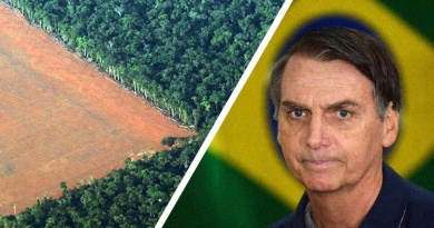 Brazilski predsjednik želi iskrčiti prašume Amazone i dati korporacijama da grade nebodere