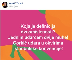 dvosmislenost