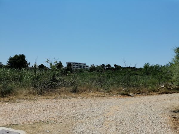 Hotel Dejana Lovrena