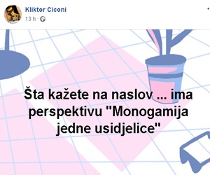 monogamija