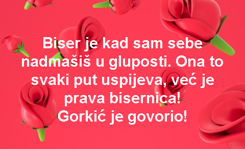 Biser je kad sam sebe nadmašiš u gluposti. Ona to svaki put uspijeva, već je prava bisernica! Gorkić je govorio!