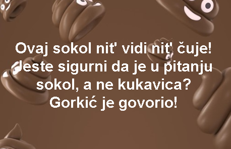 Ovaj sokol nit' vidi nit' čuje! Jeste sigurni da je u pitanju sokol, a ne kukavica? Gorkić je govorio!