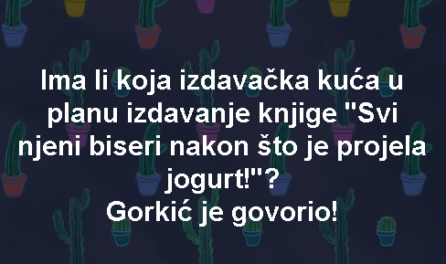 Ima li koja izdavačka kuća u planu izdavanje knjige 