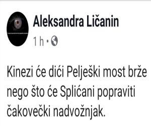 brzina