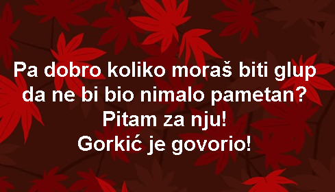 Pa dobro koliko moraš biti glup da ne bi bio nimalo pametan? Pitam za nju! Gorkić je govorio!