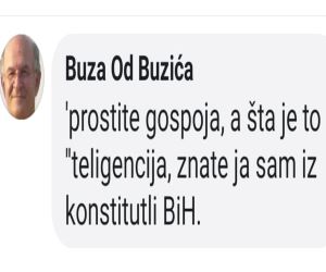 inteligencija