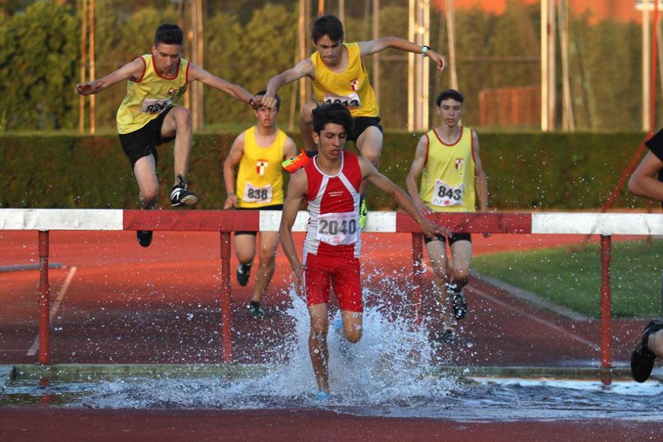 steeplechase
