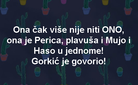 Ona čak više nije niti ONO, ona je Perica, plavuša i Mujo i Haso u jednome! Gorkić je govorio!