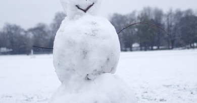 Noćas je pao snijeg - dnevnik o rasizmu jednog snjegovića