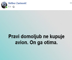 domoljub