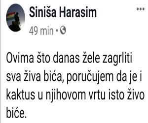 kaktus
