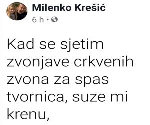 zvona