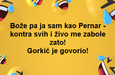 Bože pa ja sam kao Pernar - kontra svih i živo me zabole zato! Gorkić je govorio!
