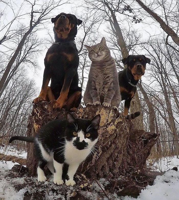 # 5 Meow-tang klan pozira za njihov debitantski rap album