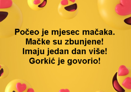 Počeo je mjesec mačaka. Mačke su zbunjene! Imaju jedan dan više! Gorkić je govorio!