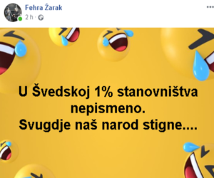 nepismenost
