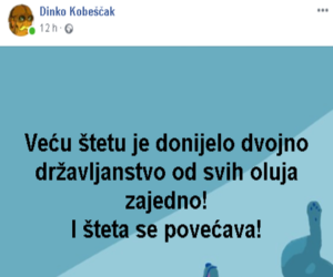 šteta