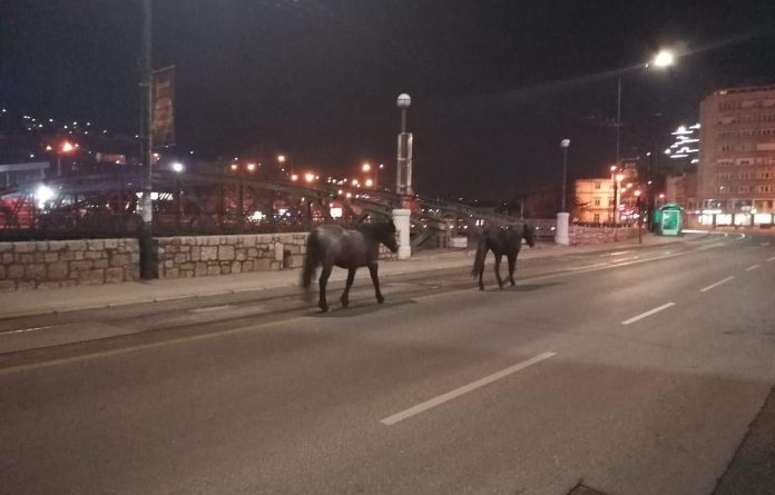 Konji sada mirno šetaju Sarajevom
