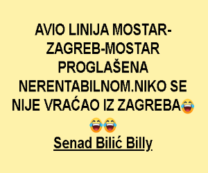aviolinija