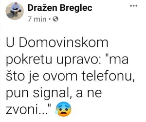 Domovinski pokret