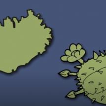 Island