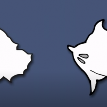 Kosovo