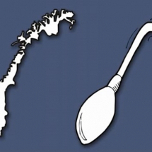 Norveška