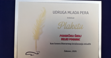 Izvor literarnog izražavanja mladih