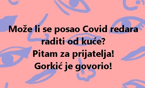 Može li se posao Covid redara raditi od kuće? Pitam za prijatelja! Gorkić je govorio!