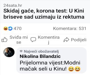 rektum