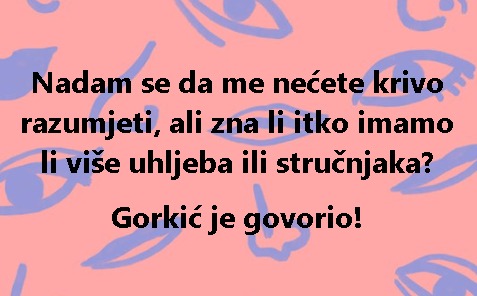 Nadam se da me nećete krivo razumjeti, ali zna li itko imamo li više uhljeba ili stručnjaka? Gorkić je govorio!