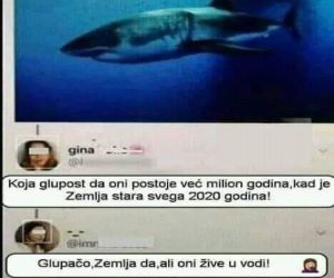 glupost