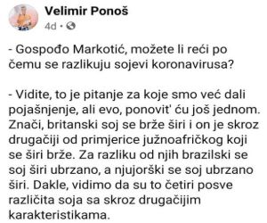 sojevi